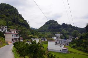 五林村