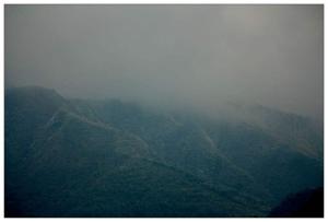 龙泉山森林公园