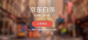 京东白条