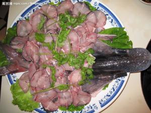 俄罗斯鲟图册