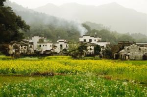 晓起村风光