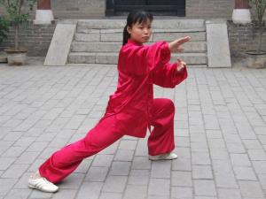 杨氏太极拳