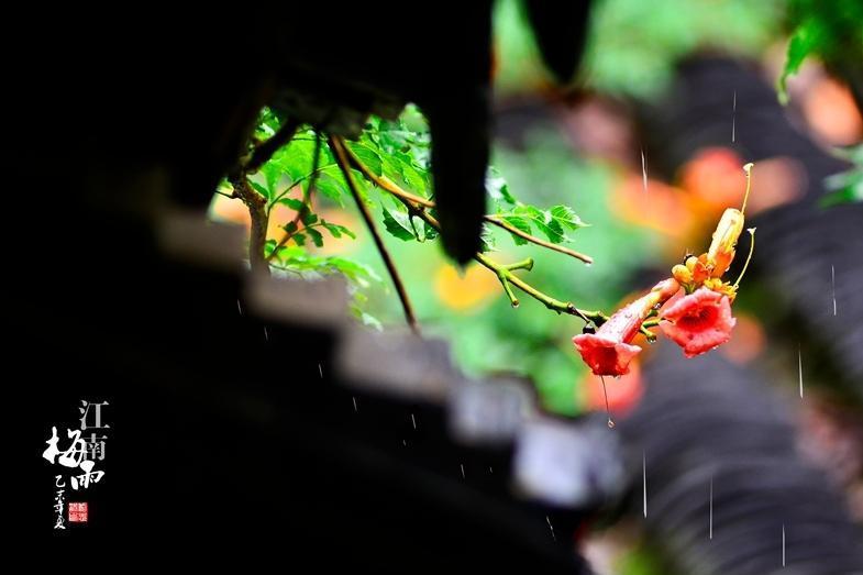 梅雨季节 自然气候现象 搜狗百科