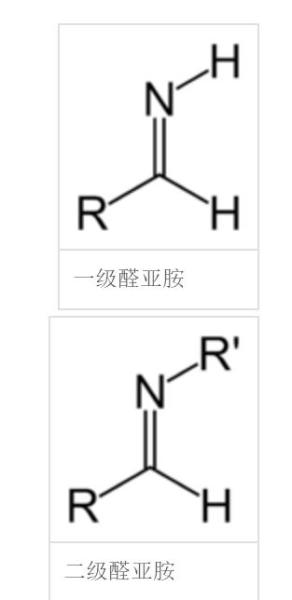 图1 一级和二级醛亚胺的结构式