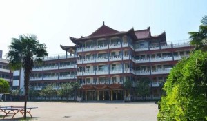 柘城县实验小学