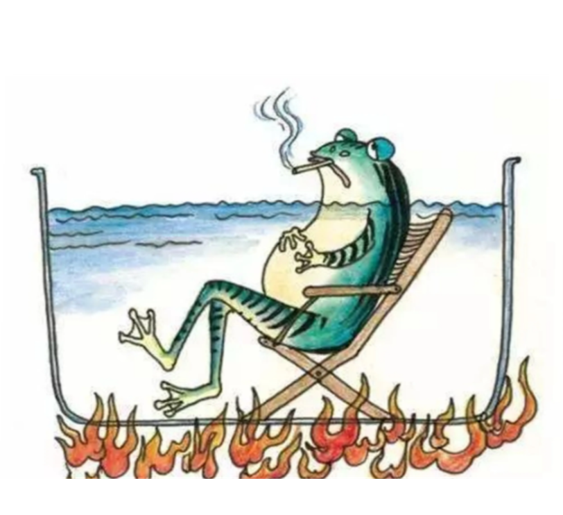 青蛙的功效与作用和用法 0