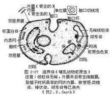 图2-27
