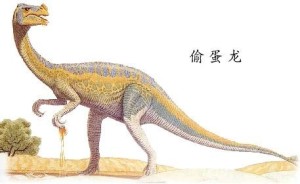偷蛋龙