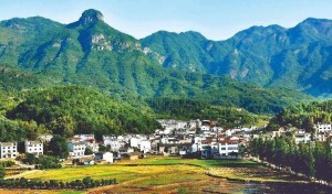 龙游县农村风光