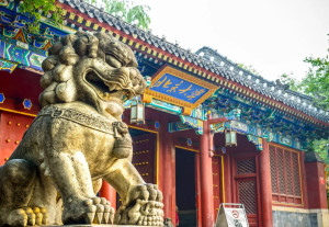 开设院校