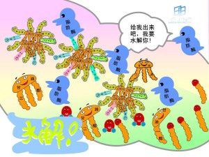 脂类