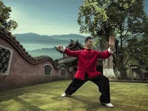 杨氏太极拳