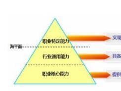 职业能力