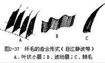 图2-37