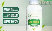 EM菌