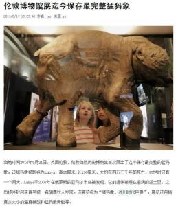 英国保存最完整的猛犸象躯体