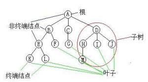 叶子结点