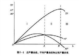 规模经济理论