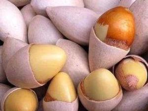 白果
