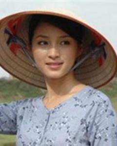 河内,河内 搜狗百科