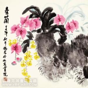 杨瑞芬写意花鸟画