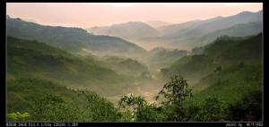 土楼山风光、植物
