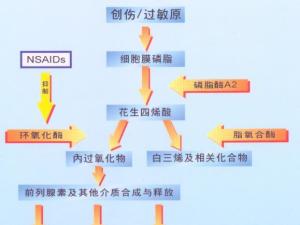 非甾体类抗炎药