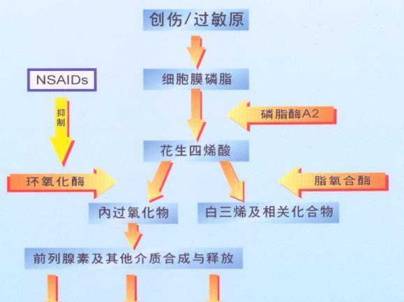 非甾体类抗炎药 药物 搜狗百科