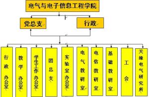 电气与电子信息工程学院组织机构图