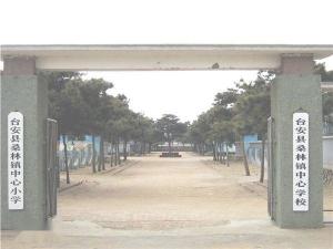 桑林镇中心小学