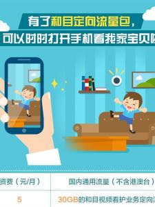 定向流量