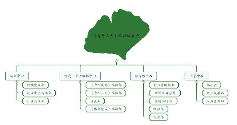 《青年人大》报社架构