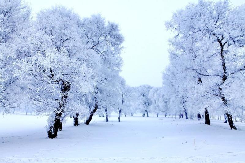 雪 自然现象 搜狗百科