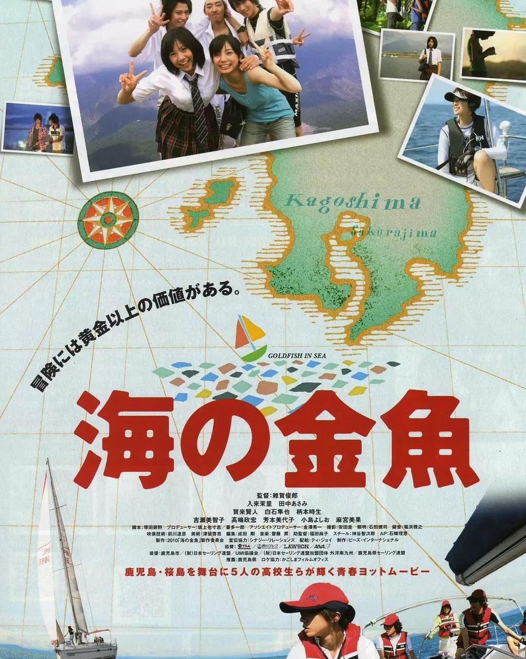 海之金鱼 搜狗百科 海之金鱼 搜狗百科