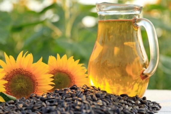 葵花籽油 从葵花籽中提取的食用油 搜狗百科