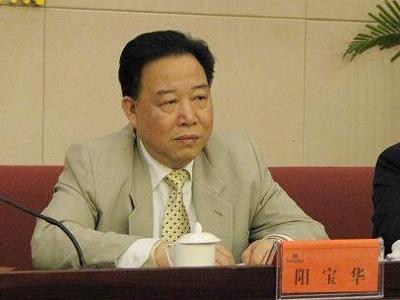 阳宝华