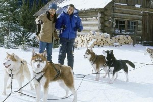 雪地狂奔 的剧照