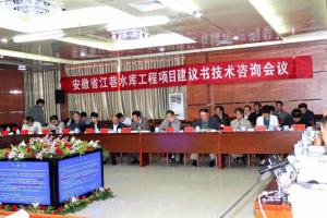 江巷水库工程项目建议书咨询会