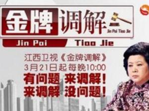 金牌调解