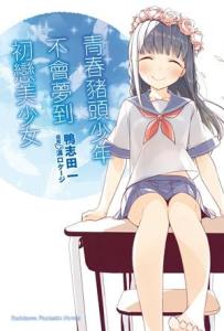 第七卷封面