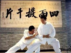 太极拳推手