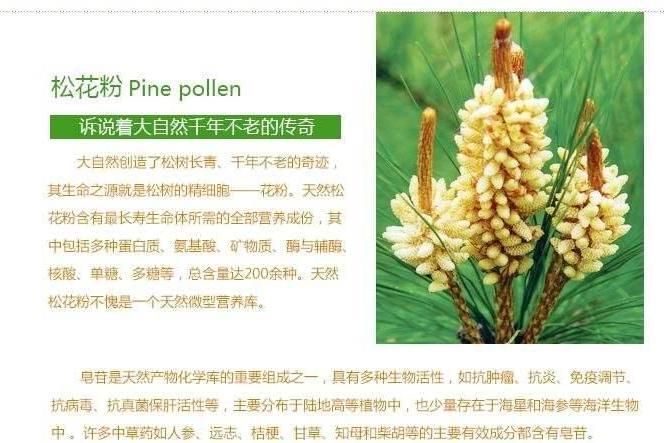 国珍松花粉 保健品 搜狗百科