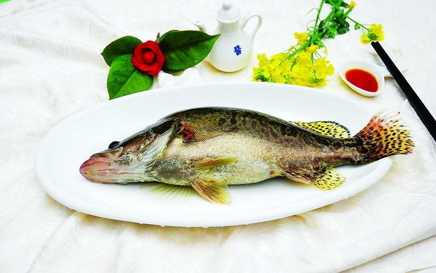 鳜鱼