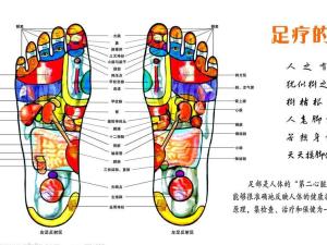 足底穴位