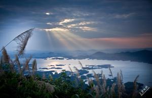 陆水河