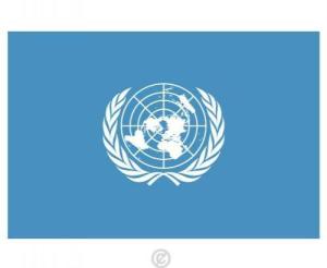 联合国国旗