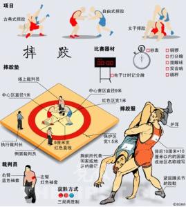自由式摔跤