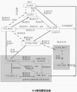 运输层