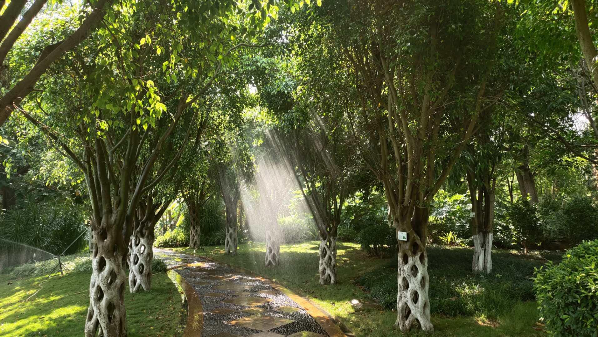 开远热带植物园