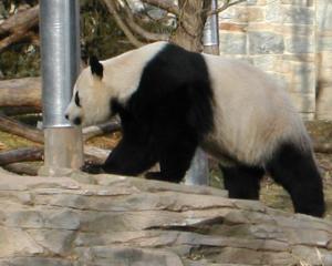 哺乳纲 搜狗百科